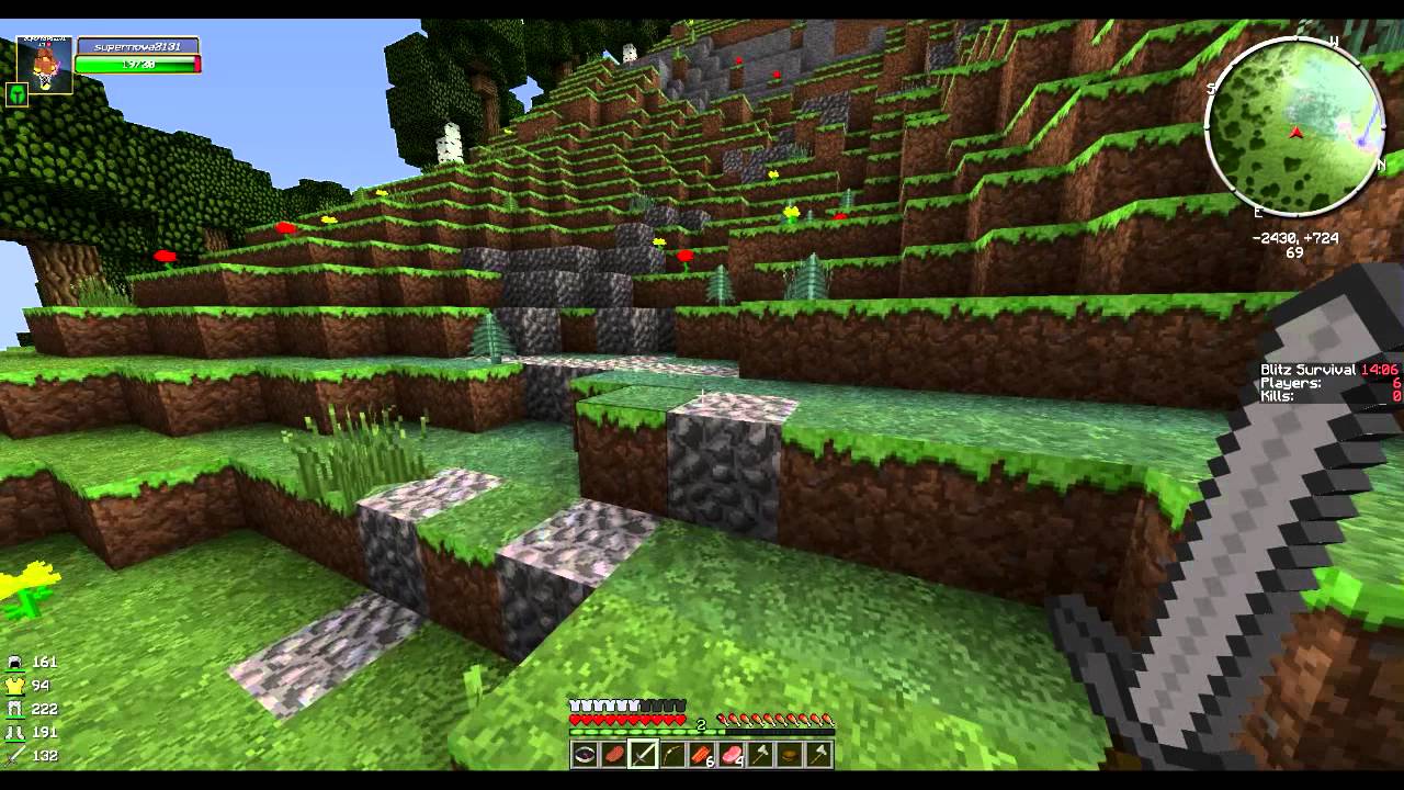 /images/minecraft-gameplay.jpg