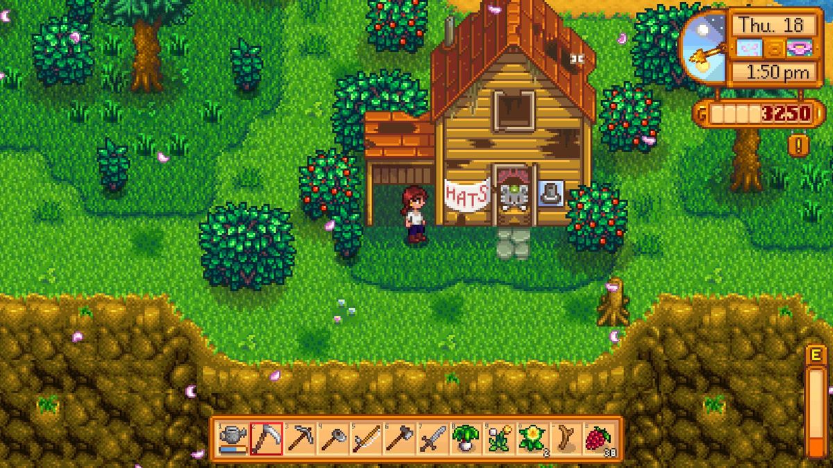 /images/stardew-valley-gameplay.jpg
